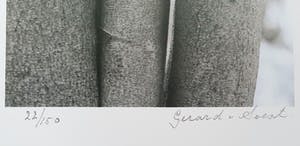 Gerard van Soest - foto - 2005 kopen? Bied vanaf 35!