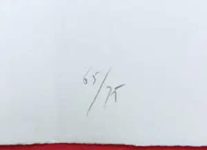 Dick Cassee - Registratie, metaaldruk (1983) kopen? Bied vanaf 75!