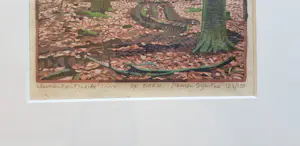 Siemen Dijkstra - De Bork kopen? Bied vanaf 250!