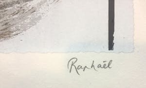 Raphael Hermans - Mammoet kopen? Bied vanaf 65!