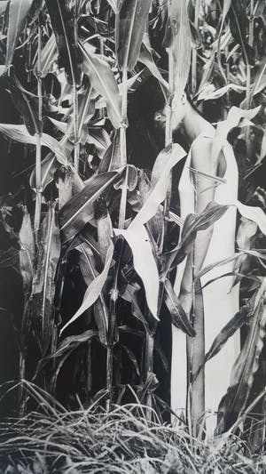 Erik Gigengack - 'lost', originele foto, nummer 1 uit serie van 10 kopen? Bied vanaf 1!