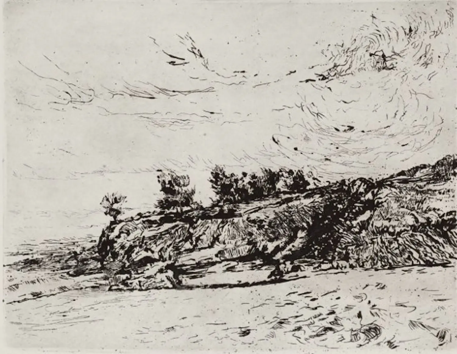 Adri Dijkhorst (1955)