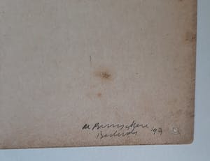 Berlinde De Bruyckere - Alles aanéén genaaid kopen? Bied vanaf 50!