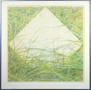Eric de Nie - Litho, Zonder titel - Ingelijst verkocht voor € 35!