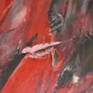 Charlotte Molenkamp - Rood aquarium kopen? Bied vanaf 3450!