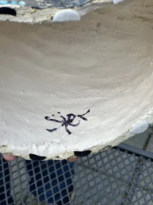 Sjer Jacobs - Prima kopen? Bied vanaf 75!