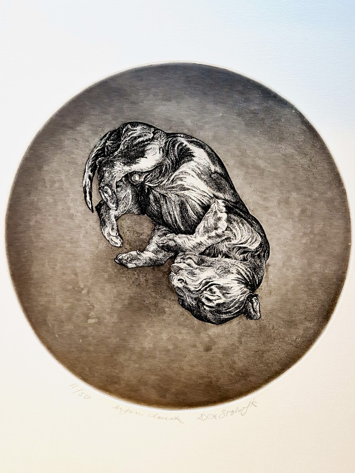 Dick Stolwijk - Realistische - kleine oplage (50) eigen druk - Ets "slapende pup" - potloodges kopen? Bied vanaf 1!