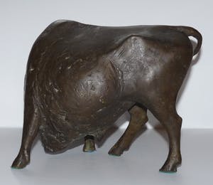 Evert den Hartog - Stier kopen? Bied vanaf 750!