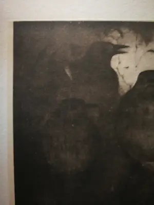 Jan Mankes - Drie lijsters. kopen? Bied vanaf 75!