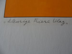 Jan van Tuinen - titel. 'Kleurige Friese vlag". kopen? Bied vanaf 25!