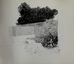 Peter van Straaten - Nastoot kopen? Bied vanaf 40!