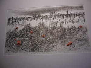 Marijke van der Meij - Litho, Titel, "Holy places of our scenery". kopen? Bied vanaf 30!