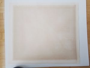 Rene Glaser - Zinklitho - de Koppel libel met zijn staart-propeller kopen? Bied vanaf 15!