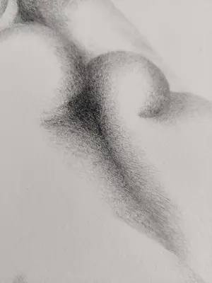 Ans Hey - Gezin kopen? Bied vanaf 35!