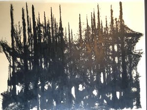 Wim Burger - Tegenlicht kopen? Bied vanaf 30!