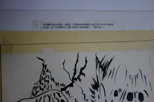 Andre Masson - Le Torrent kopen? Bied vanaf 85!