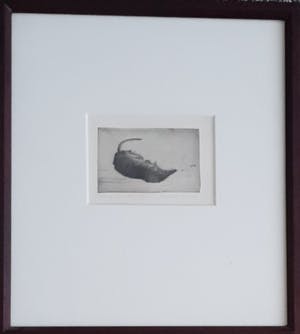 Anneke van Brussel - Spitsmuisje kopen? Bied vanaf 25!