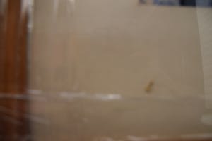 Roelof Klein - Stekels en schermen - gouache op papier kopen? Bied vanaf 20!