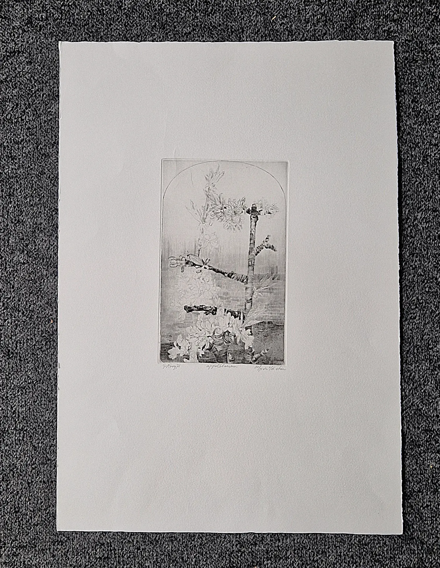 Gerard van Rooy (1938-2006)