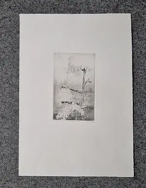 Gerard van Rooy - Magnifieke ets- 1975 - Appelbloesem- druk vd etser - potloodgesigneerd kopen? Bied vanaf 38!