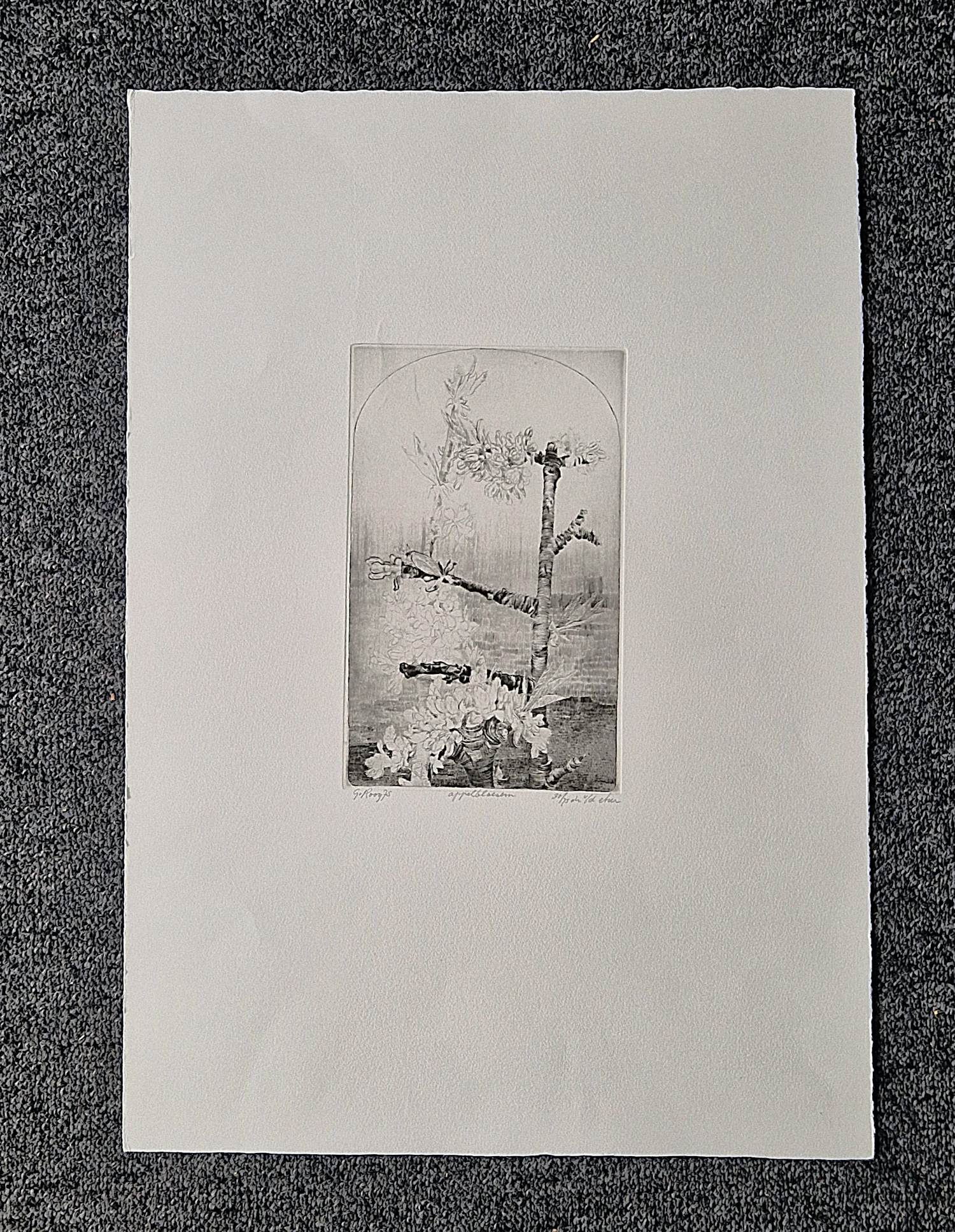 Gerard van Rooy - Magnifieke ets- 1975 - Appelbloesem- druk vd etser - potloodgesigneerd kopen? Bied vanaf 49!