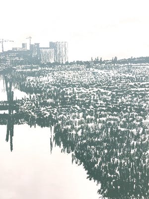 Frans Room - Zeefdruk, Landschap Noord-Holland,gesigneerd en ingelijst kopen? Bied vanaf 25!