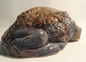 Nel Donkers - Dit is een pad. kopen? Bied vanaf 60!