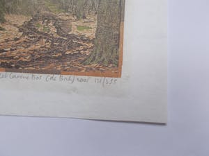 Siemen Dijkstra - Het groenen bos - Houtsnede 2001 kopen? Bied vanaf 190!