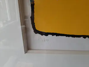 Herman Brood - ingelijste zeefdruk: Tuinbroek Cabriolet kopen? Bied vanaf 275!