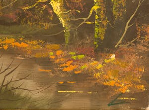 Toon Wildeboer - boslandschap Lage Vuursche kopen? Bied vanaf 1!