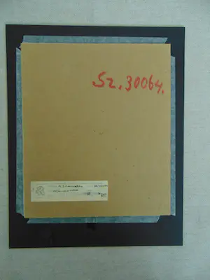 Adriaan Cornelis - Kompositie kopen? Bied vanaf 50!