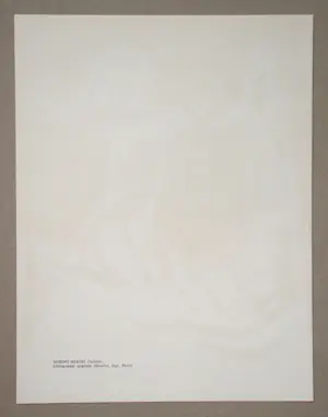 Marino Marini - Cavalier - Originele lithografie - 1967 - Mourlot kopen? Bied vanaf 120!