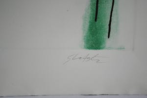 Ger Lataster - Kleurenets (rond 1981) - épreuve d'artiste kopen? Bied vanaf 195!