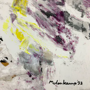 Nico Molenkamp - Vogel kopen? Bied vanaf 38!