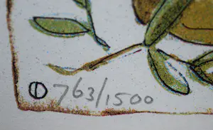 Alie Kruse-Kolk - Olijven - zeefdruk - mooi ingelijst kopen? Bied vanaf 50!