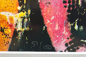 Herman Brood - Mijn haven kopen? Bied vanaf 495!