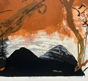 Henk van Vessem - Winter kopen? Bied vanaf 25!