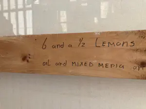 Renate Vendrig - 6 and 1/2 lemons, 2.26 bij 1.17 kopen? Bied vanaf 350!