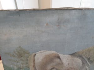 Niet of onleesbaar gesigneerd - Paard in de wei kopen? Bied vanaf 10!