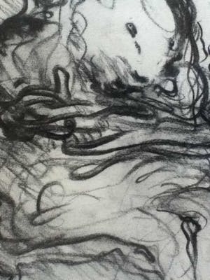 Wilfried Pas - 'De schone en het beest' kopen? Bied vanaf 395!