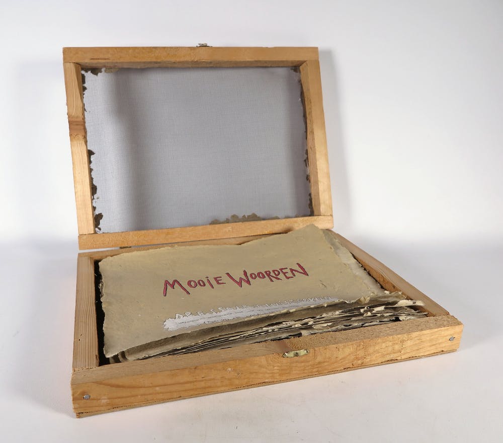 Liesbeth van Litsenburg