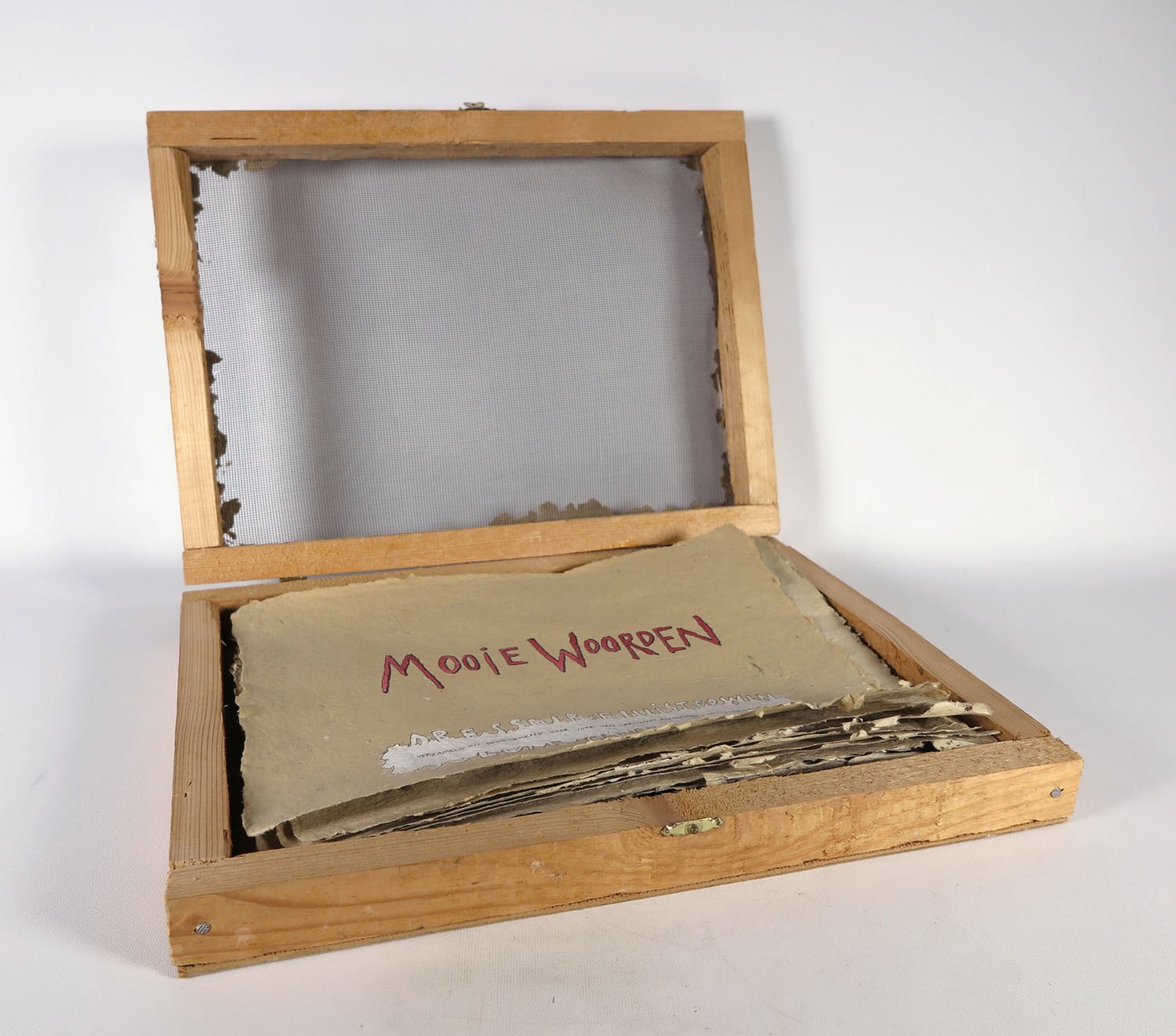 Liesbeth van Litsenburg