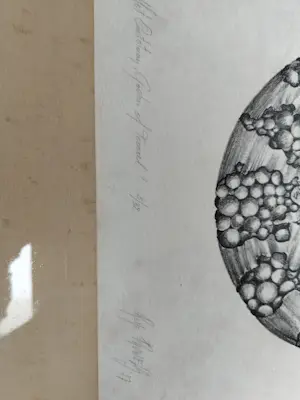 René Pauwels - Het onstaan , Goden of toeval? 3/32 kopen? Bied vanaf 50!