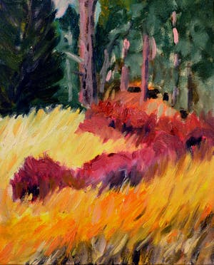 Sophie Bekkering - Roosendaalse zand kopen? Bied vanaf 97!