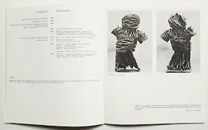 Pierre Alechinsky - Biennale de Sao-Paulo, publicatie met o.a. 5 originele litho’s kopen? Bied vanaf 125!