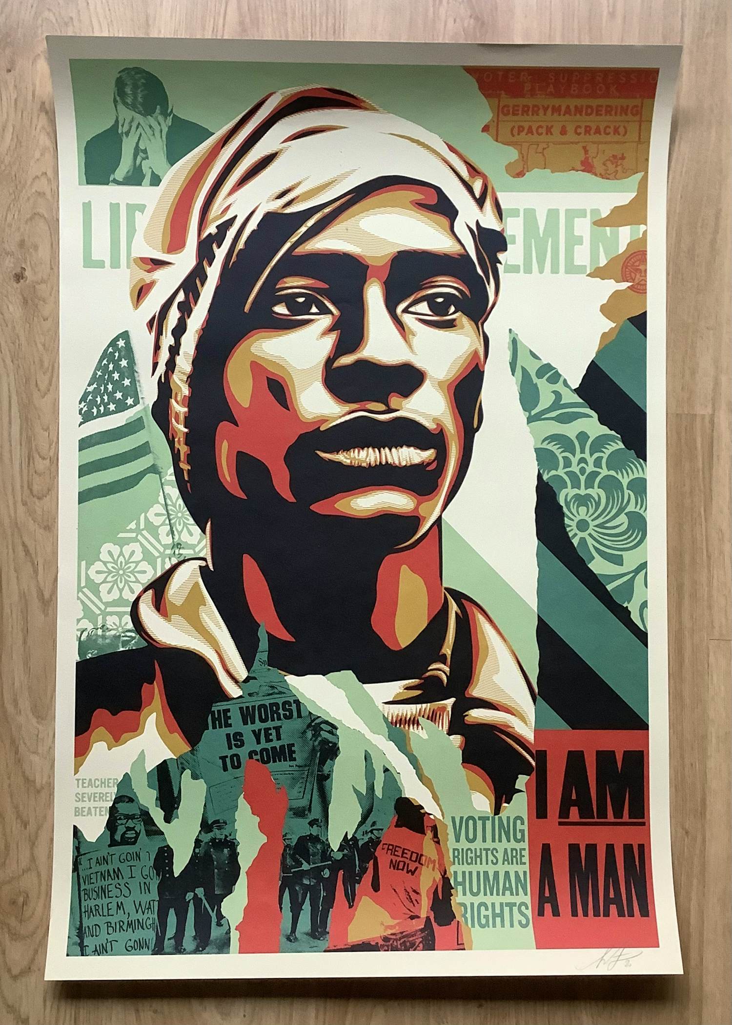 Shepard Fairey - Voting Rights kopen? Bied vanaf 25!