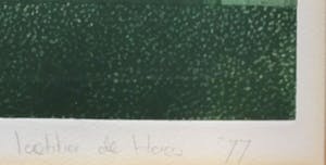 Laetitia de Haas - Ets, gesigneerd ,56/60 etalage ingelijst kopen? Bied vanaf 35!