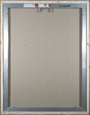 Bert Braam - Acryl op doek, Kakadu - Ingelijst (Groot) kopen? Bied vanaf 1!