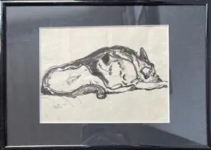 Jan van Anrooy - Tekening Honden Bea en Melis - Tekening 2 x kopen? Bied vanaf 15!