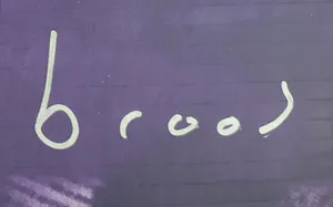 Herman Brood - Bohemian - Nieuw ingelijst (Groot) kopen? Bied vanaf 495!